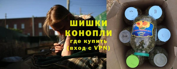 не бодяженный Гусев