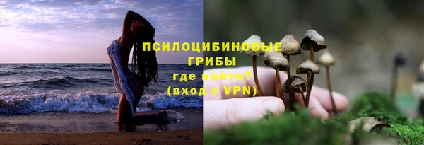 не бодяженный Гусев