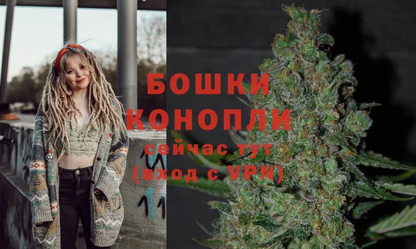 не бодяженный Гусев