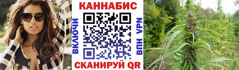 Конопля сатива  купить   Очёр 